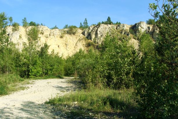 Kamieniołom wapieni i iłów jurajskich w Niegowonicach - Śląs