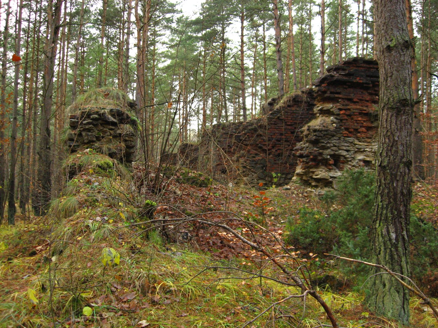 Ruiny prochowni w Ogrodzieńcu fot.R.Rębisz