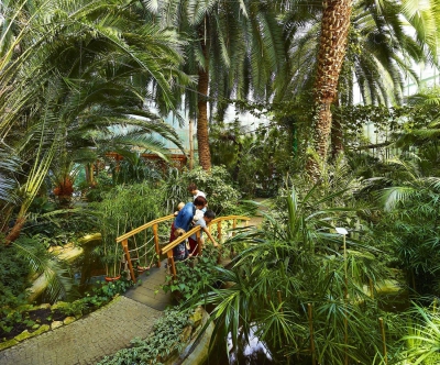 Tropiki i egzotyka w Metropolii? 3 miejsca, w których zapomnisz o zimie.