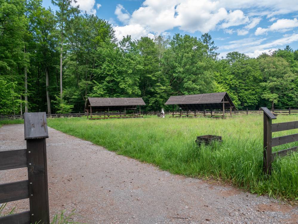 Szlak Niedźwiedziówka