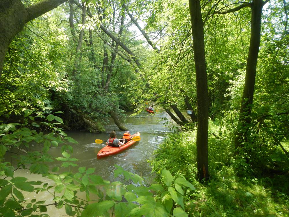Szlak kajakowy Biała Przemsza