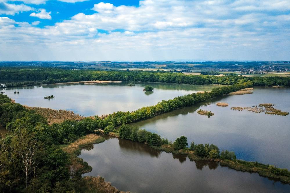 Rezerwat Przyrody Łężczok