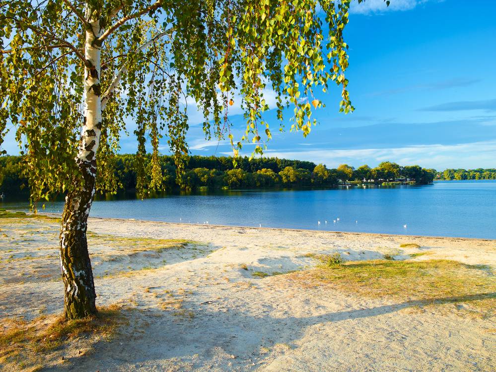 Słoneczna Plaża nad Jeziorem Pławniowickim