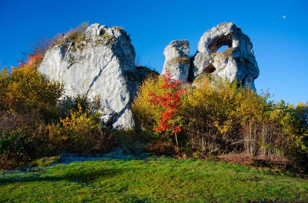 5. Okiennik Wielki