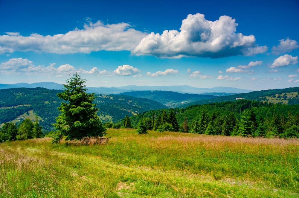 15. Punkt widokowy na Beskidku, z widokiem na Beskid Śląski