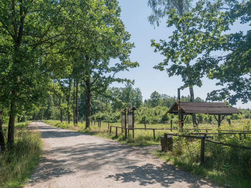 Czarny szlak rowerowy nr 101 Katowice - Lędziny