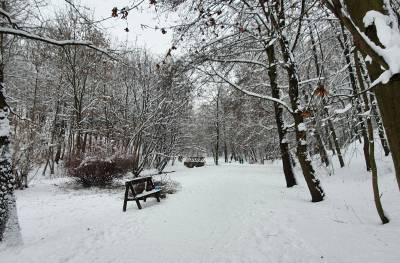 TOP 5 miejsc na zimowy odpoczynek w Metropolii.