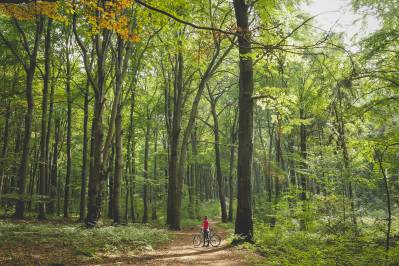 Cztery rezerwaty w Metropolii, w których złapiesz kontakt z przyrodą.