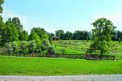 TOP 5 miejsc na wiosenny spacer w Metropolii