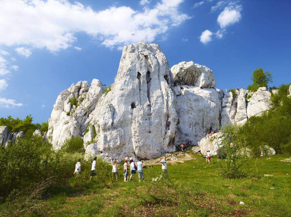 rzędkowice