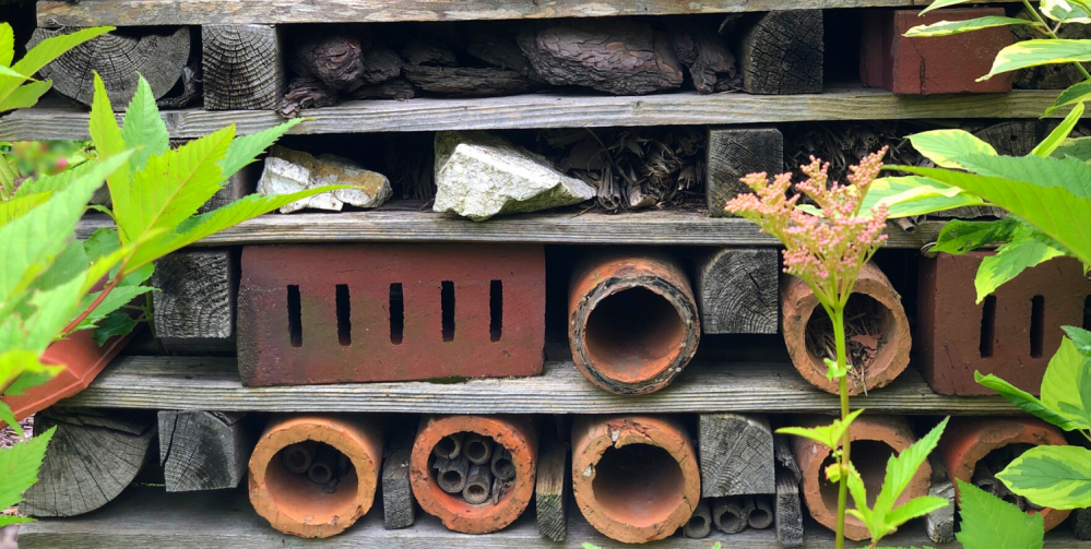 Atrakcje dla dzieci w okolicy Katowic
