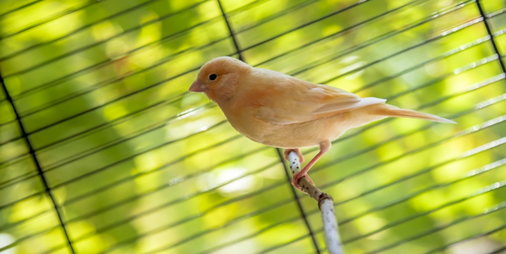 Rodzinne atrakcje dla dzieci na Śląsku