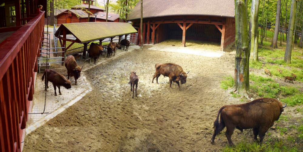 Weekend z dziećmi w okolicy Katowic