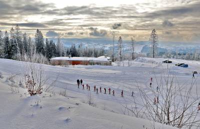 Trasy narciarstwa biegowego w Polsce - Śląsk Cieszyński