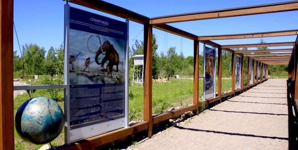 Wyprawy przyrodnicze z dziećmi