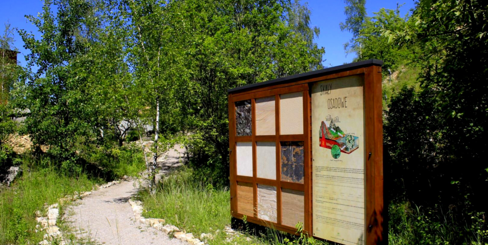 Wyprawy przyrodnicze z dziećmi