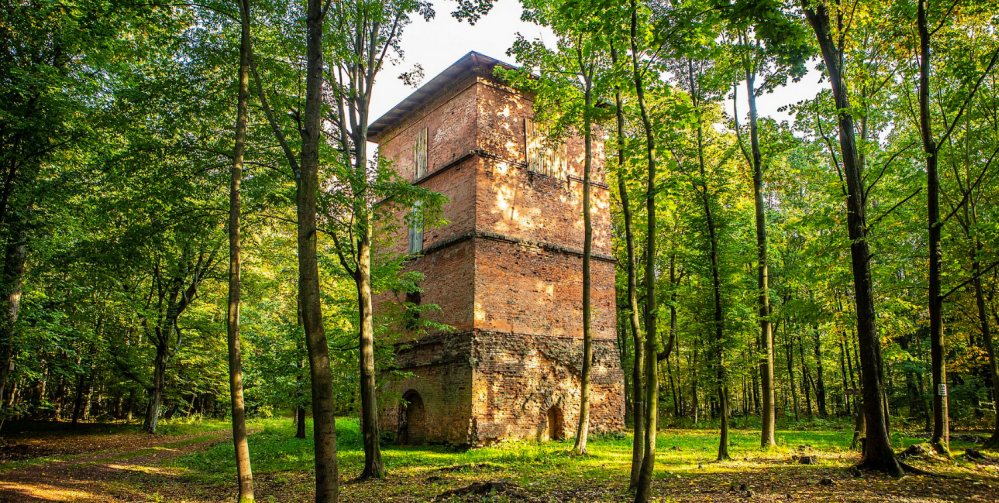 Wycieczka rowerowa z dzieckiem