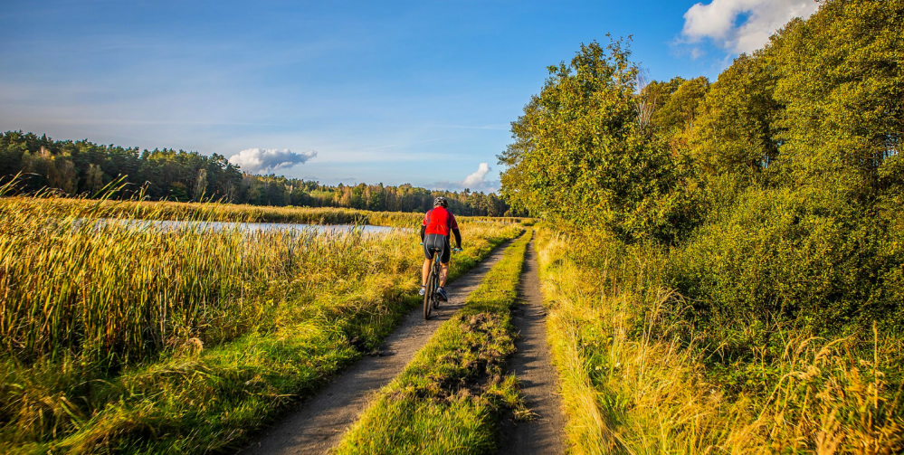 Wycieczka rowerowa z dzieckiem
