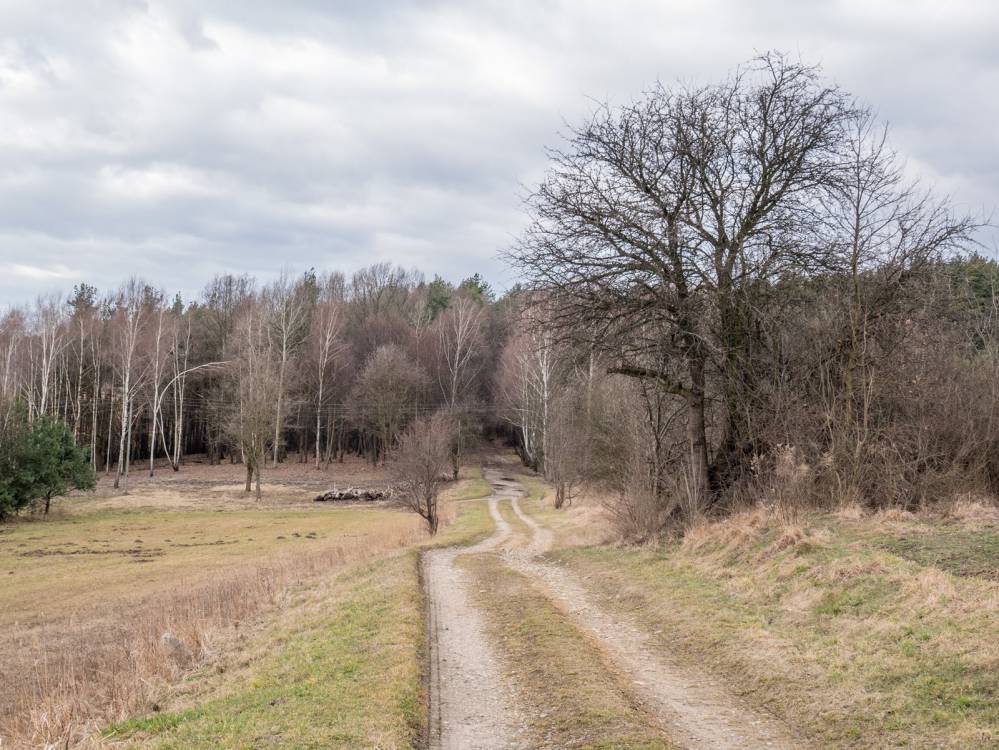 Czerwony szlak rowerowy nr 110 w Mysłowicach