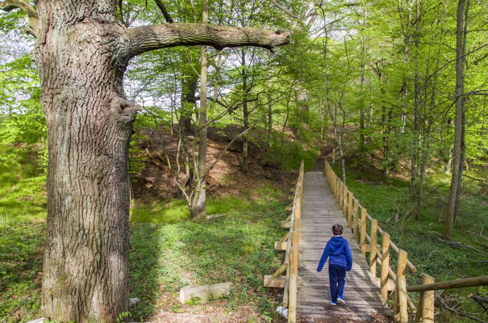 Szwajcaria Rachowicka