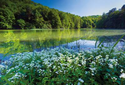 OSTRĘŻNIK - SPACER PO REZERWACIE PARKOWE
