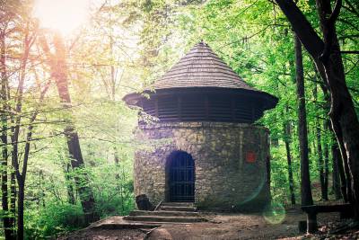 SPACER PO PARKU W REPTACH 