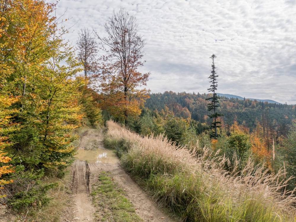 Czarny szlak rowerowy w Węgierskiej Górce