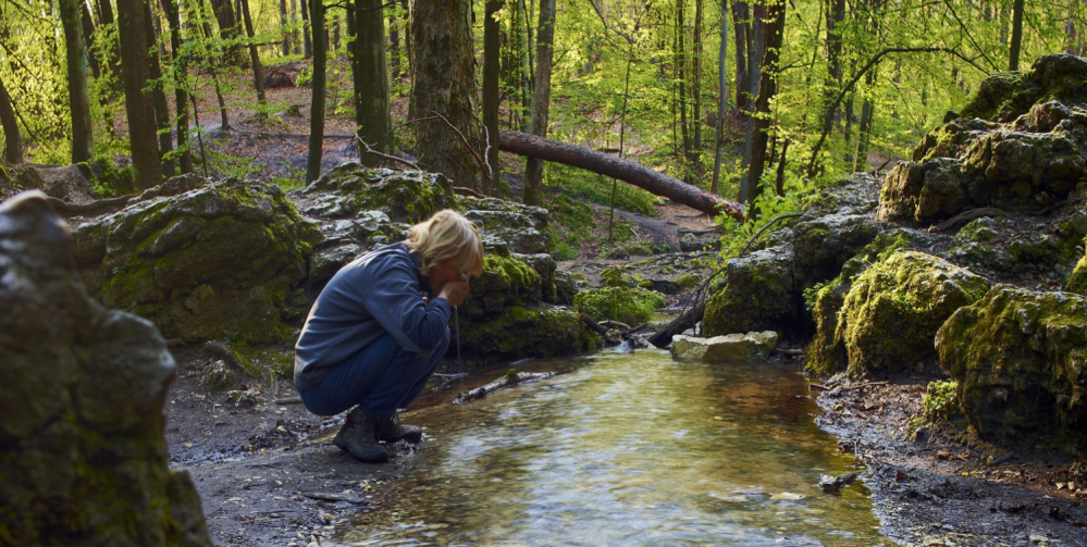 Najlepsze miejsca na Jurze