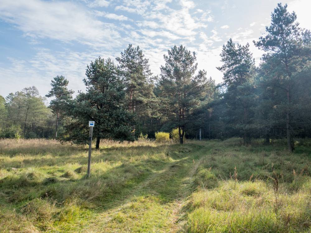 Niebieski szlak rowerowy Zawiercie - Ogrodzieniec