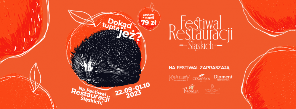 festiwal